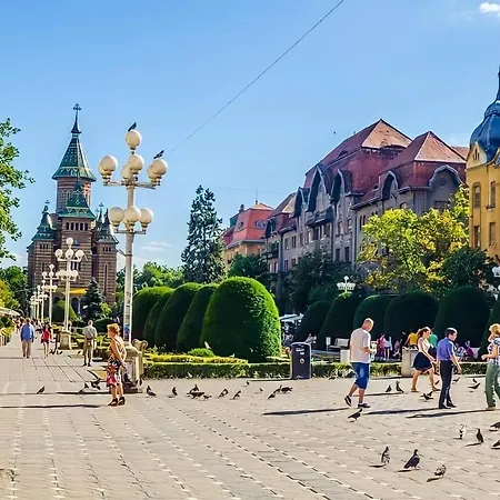 Belle Vue Ultracentral Timisoara