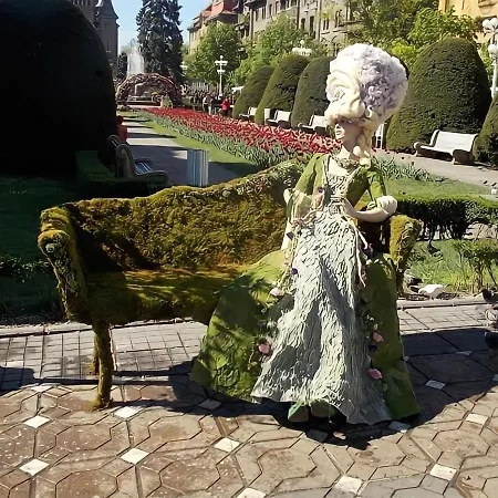 Belle Vue Ultracentral * Timisoara