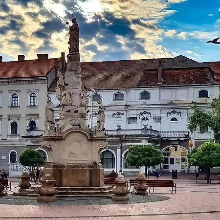 Belle Vue Ultracentral Timisoara